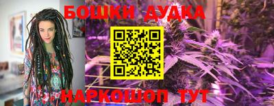 метадон Сланцы