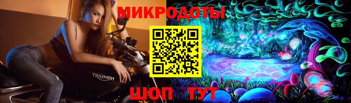 Новоуральск  Псилоцибиновые грибы MAGIC MUSHROOMS  сколько стоит  Вход с VPN 